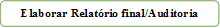 Elaborar Relatório final/Auditoria